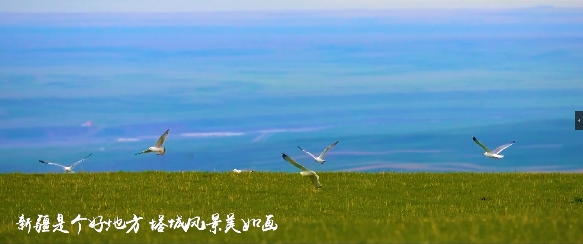 &#39318;&#39029;&#95;&#74;&#68;&#66;&#40;&#20013;&#22269;&#41;&#30005;&#23376;&#95;&#23448;&#26041;&#32593;&#31449;