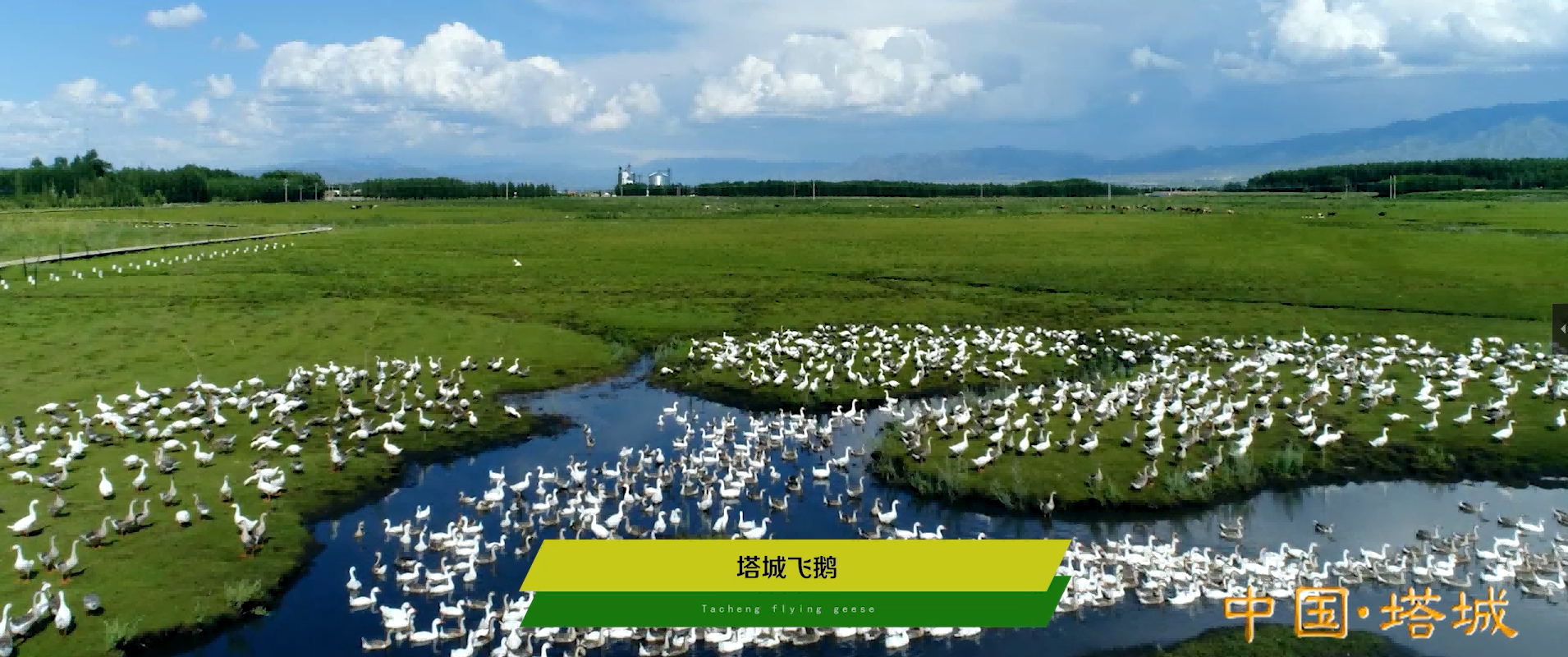 &#39318;&#39029;&#95;&#74;&#68;&#66;&#40;&#20013;&#22269;&#41;&#30005;&#23376;&#95;&#23448;&#26041;&#32593;&#31449;