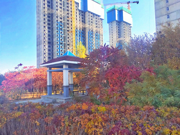 &#39318;&#39029;&#95;&#74;&#68;&#66;&#40;&#20013;&#22269;&#41;&#30005;&#23376;&#95;&#23448;&#26041;&#32593;&#31449;